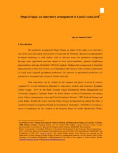 thumbnail of Artigo_Pingo-Dagua.Versao-em-Ingles