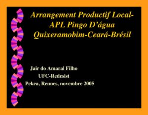 thumbnail of Arrangement-Productif-Local-Pingo-Dagua-Quixeramobim_Ceara_Bresil_Jair-do-Amaral-Filho